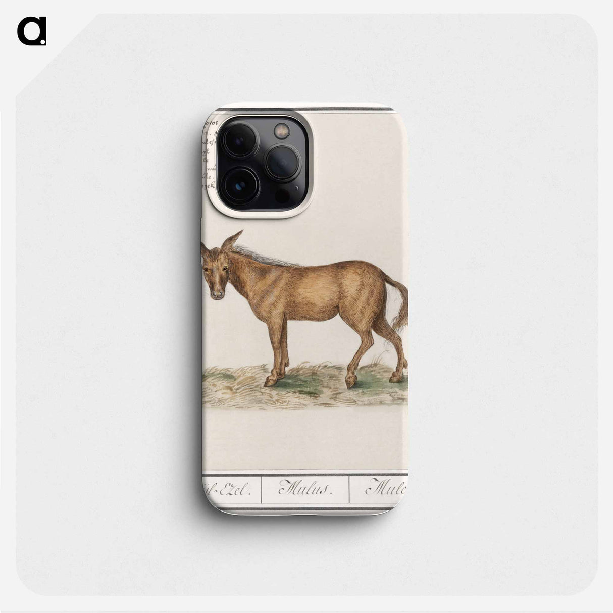 Mule - アンセルムス ボエティウス デ ブート Phone Case.