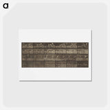 アートポストカード-Animal Locomotion
 - エドワード マイブリッジ Postcard.