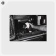アートポストカード-Infectious Diseases
 - 国立医学図書館 Postcard.