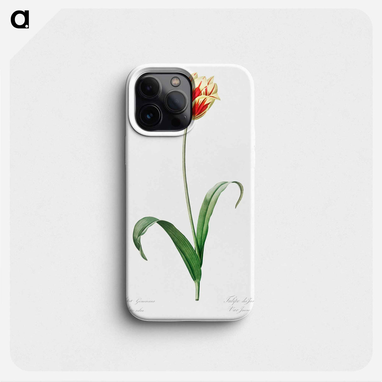 Didier's tulip illustration from Les liliacées - Pierre-Joseph Redouté Phone Case.