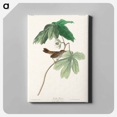 アートパネル-Swamp Sparrow from Birds of America
 - アメリカの鳥たち Canvas.