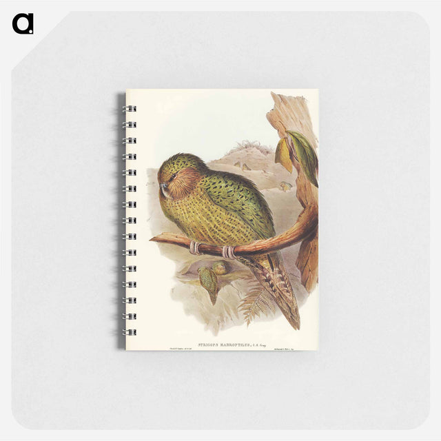 アートメモ帳-Kakapo
 - オーストラリアの鳥 Memo.