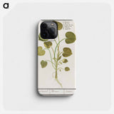 Mansoor, Asarum europaeum - アンセルムス ボエティウス デ ブート Phone Case.