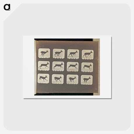 アートポストカード-Running
 - エドワード マイブリッジ Postcard.