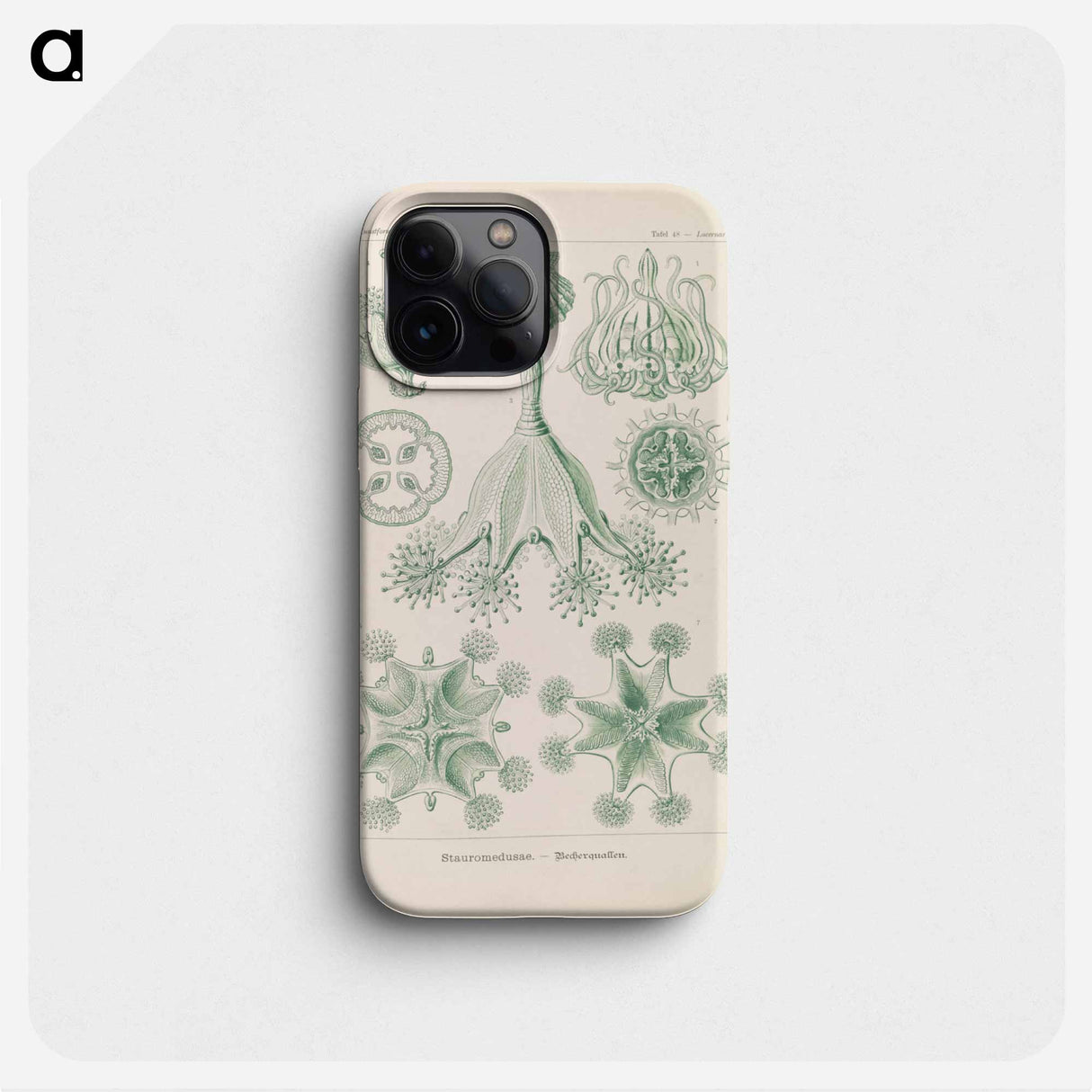 Marine life illustration - エルンスト ヘッケル Phone Case.