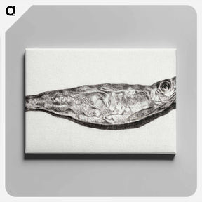 アートパネル-Sprat by candlelight - ジャン ベルナール Canvas.