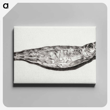 アートパネル-Sprat by candlelight - ジャン ベルナール Canvas.