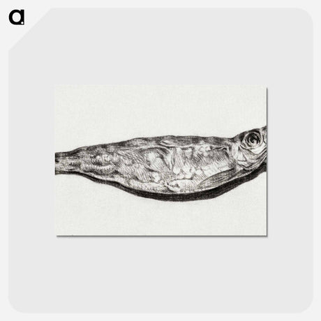 アートポストカード-Sprat by candlelight - ジャン ベルナール Postcard.