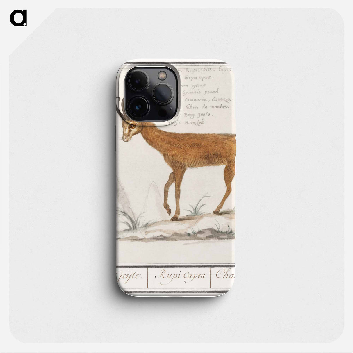 Gem, Rupicapra rupicapra - アンセルムス ボエティウス デ ブート Phone Case.