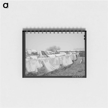 アートメモ帳-Broom Corn, Baca County
 - ラッセル リー Memo.