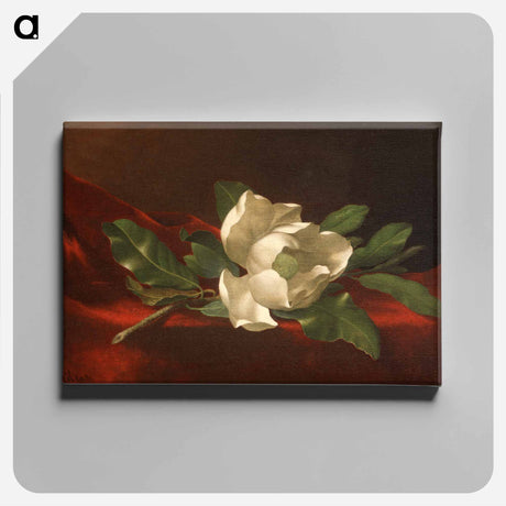 アートパネル-Magnolia
 - セントルイス美術館 Canvas.