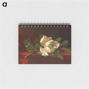 アートメモ帳-Magnolia
 - セントルイス美術館 Memo.