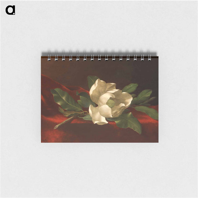 アートメモ帳-Magnolia
 - セントルイス美術館 Memo.