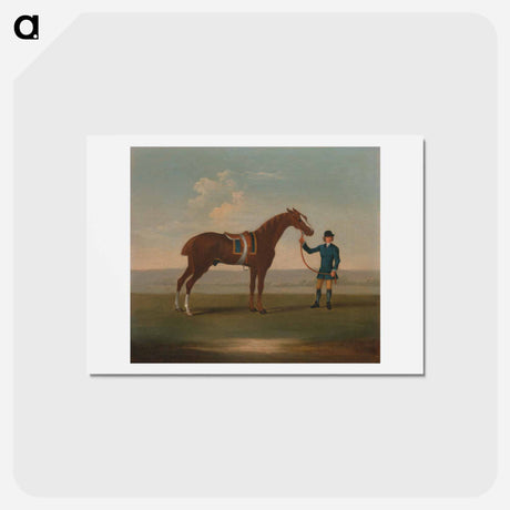アートポストカード-One of Four Portraits of Horses - a Chestnut Horse (? Old Partner) held by a Groom
 - イェール大学アートギャラリー Postcard.