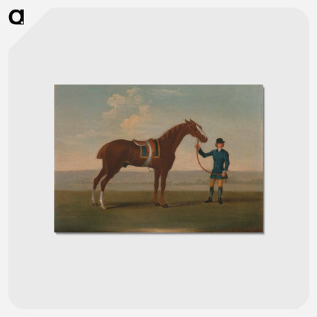 アートポストカード-One of Four Portraits of Horses - a Chestnut Horse (? Old Partner) held by a Groom
 - イェール大学アートギャラリー Postcard.