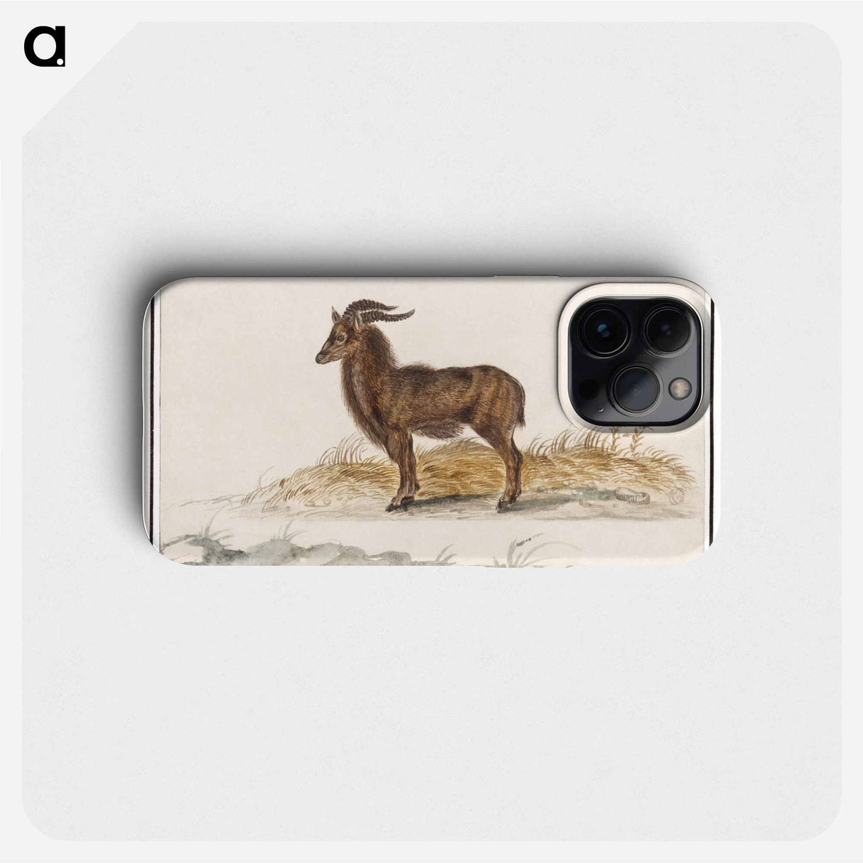 Alpine ibex - アンセルムス ボエティウス デ ブート Phone Case.