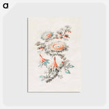 アートポストカード-Flower Embroidery Design
 - クリーブランド美術館 Postcard.