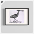 アートポスター-Birds from Natural History
 - 国立医学図書館 Poster.