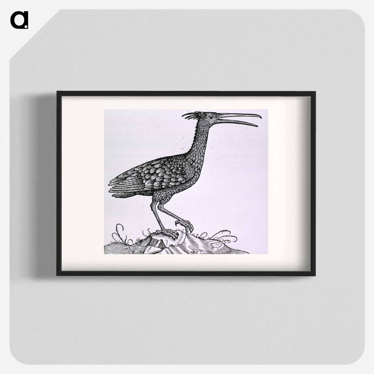 アートポスター-Birds from Natural History
 - 国立医学図書館 Poster.