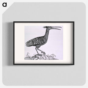 アートポスター-Birds from Natural History
 - 国立医学図書館 Poster.