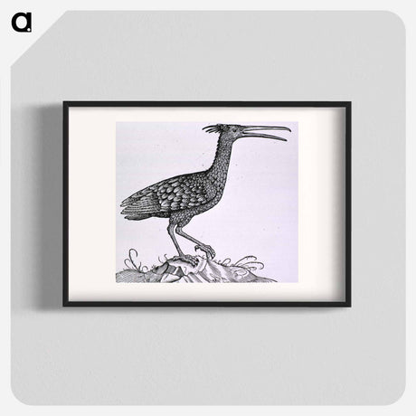 アートポスター-Birds from Natural History
 - 国立医学図書館 Poster.