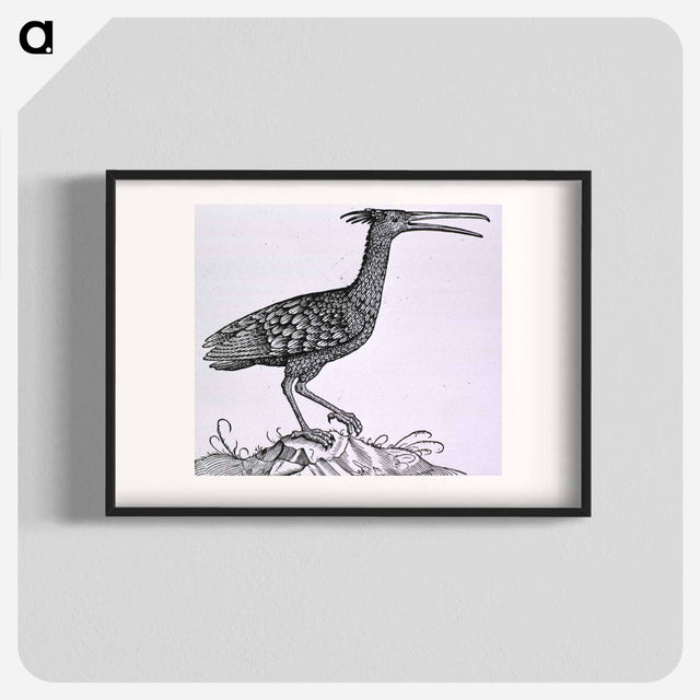 アートポスター-Birds from Natural History
 - 国立医学図書館 Poster.