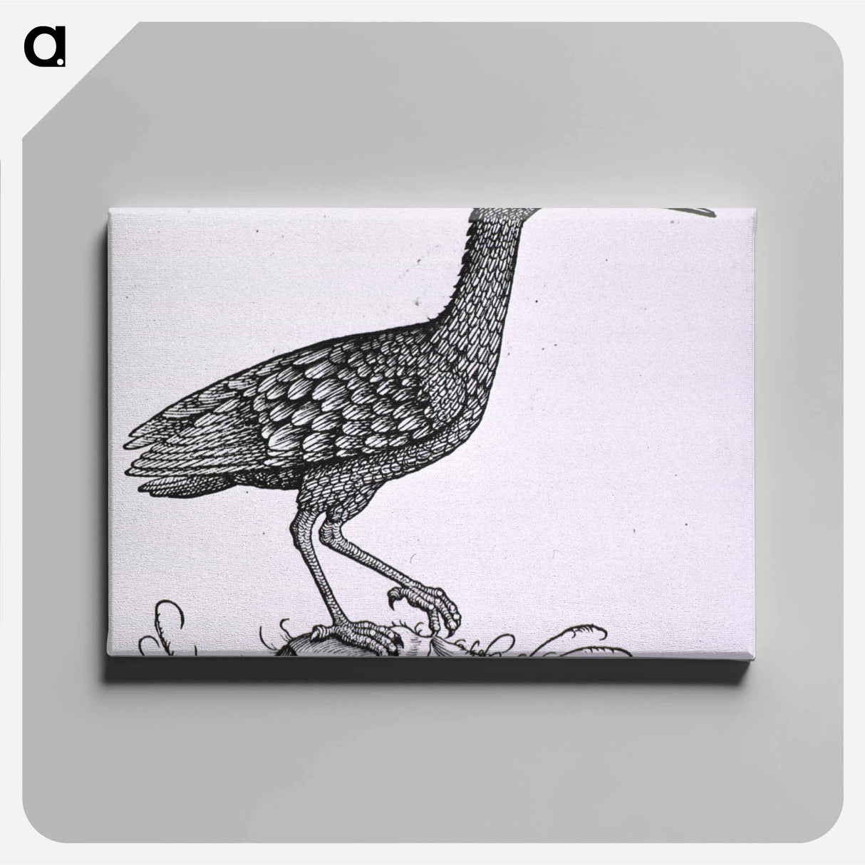 アートパネル-Birds from Natural History
 - 国立医学図書館 Canvas.