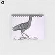 アートメモ帳-Birds from Natural History
 - 国立医学図書館 Memo.