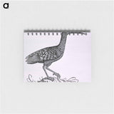 アートメモ帳-Birds from Natural History
 - 国立医学図書館 Memo.