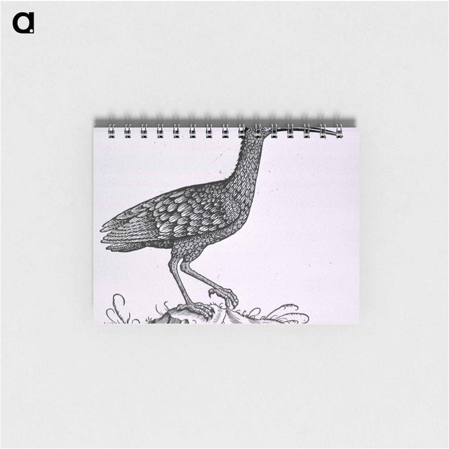 アートメモ帳-Birds from Natural History
 - 国立医学図書館 Memo.
