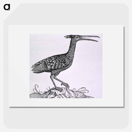 アートポスター-Birds from Natural History
 - 国立医学図書館 Poster.