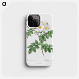 Short-styled rose with yellow and white flowers - Pierre Joseph Redouté Phone Case.