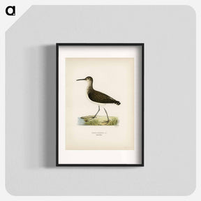 アートポスター-Green Sandpiper
 - スヴェンスカ フォグラル Poster.