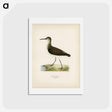 アートポストカード-Green Sandpiper
 - スヴェンスカ フォグラル Postcard.