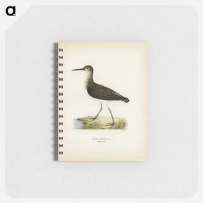 アートメモ帳-Green Sandpiper
 - スヴェンスカ フォグラル Memo.