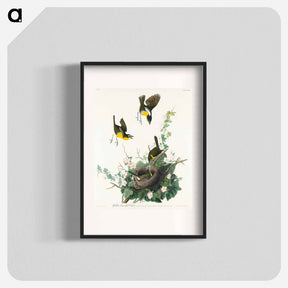 アートポスター-Yellow-breasted Chat from Birds of America
 - アメリカの鳥たち Poster.