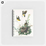 アートメモ帳-Yellow-breasted Chat from Birds of America
 - アメリカの鳥たち Memo.