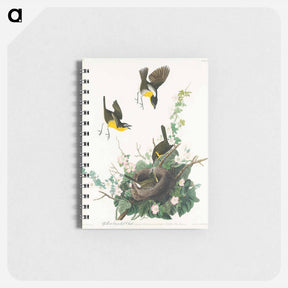 アートメモ帳-Yellow-breasted Chat from Birds of America
 - アメリカの鳥たち Memo.