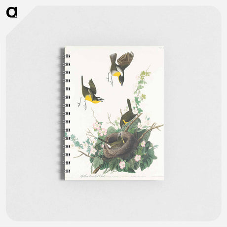 アートメモ帳-Yellow-breasted Chat from Birds of America
 - アメリカの鳥たち Memo.