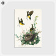 アートポストカード-Yellow-breasted Chat from Birds of America
 - アメリカの鳥たち Postcard.