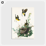 アートポストカード-Yellow-breasted Chat from Birds of America
 - アメリカの鳥たち Postcard.