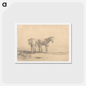 アートポストカード-Two Old Horses Standing in a Field
 - イェール大学アートギャラリー Postcard.