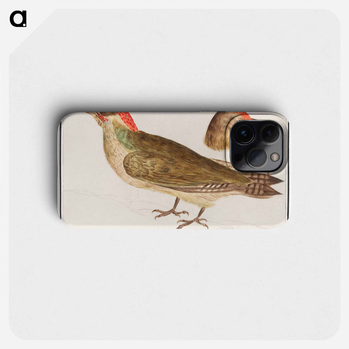 The European green woodpecker - アンセルムス ボエティウス デ ブート Phone Case.