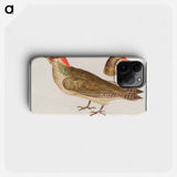 The European green woodpecker - アンセルムス ボエティウス デ ブート Phone Case.
