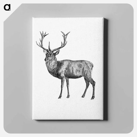 アートパネル-Red Deer
 - 大英図書館 Canvas.