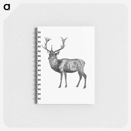 アートメモ帳-Red Deer
 - 大英図書館 Memo.