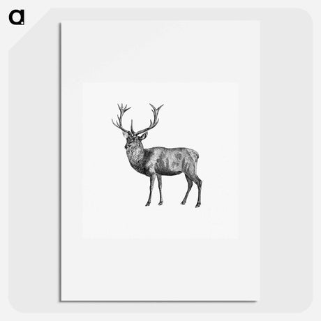 アートポスター-Red Deer
 - 大英図書館 Poster.