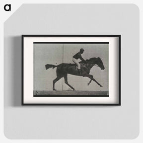 アートポスター-Galloping Horse and Rider
 - エドワード マイブリッジ Poster.