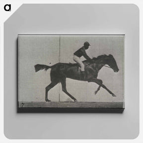 アートパネル-Galloping Horse and Rider
 - エドワード マイブリッジ Canvas.