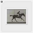 アートポストカード-Galloping Horse and Rider
 - エドワード マイブリッジ Postcard.